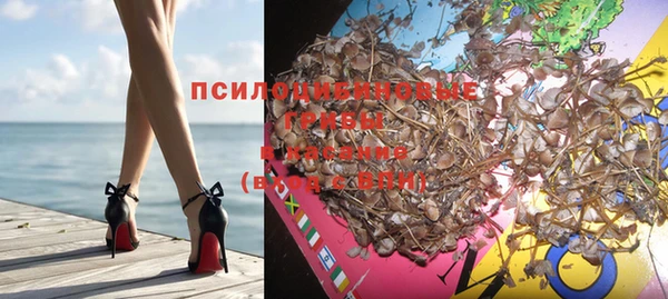 таблы Алзамай