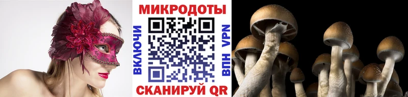 Псилоцибиновые грибы прущие грибы  где продают   Советский 